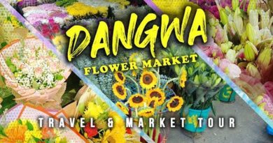 PHILIPPINEN MAGAZIN - VIDEOSAMMLUNG - Dangwa Blumenmarkt in Manila
