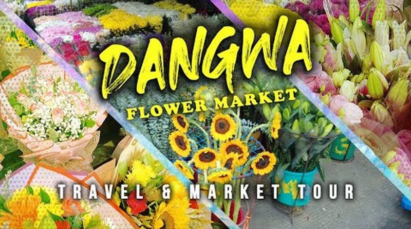 PHILIPPINEN MAGAZIN - VIDEOSAMMLUNG - Dangwa Blumenmarkt in Manila