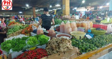 PHILIPPINEN MAGAZIN - Marktstand mit exotischem Gemüse