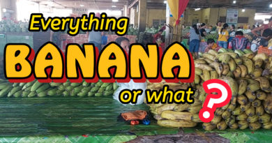 PHILIPPINEN MAGAZIN - VIDEOKANAL - Alles Banane oder was?