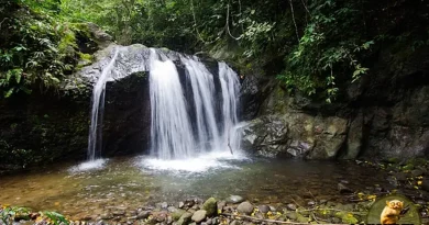 PHILIPPINEN MAGAZIN - DIENSTAGSTHEMA - WASSERFÄLLE - Bagsang Falls