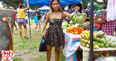 PHILIPPINEN MAGAZIN - FOTO DES TAGES - Kochbananen vom Bauernmarkt