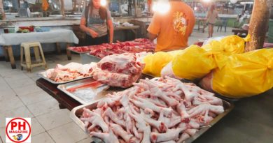 PHILIPPINEN MAGAZIN - FOTO DES TAGES -Hühnerfleisch vom Markt