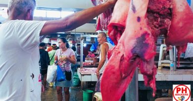 PHILIPPINEN MAGAZIN - BLOG - Fleischabteilung auf dem Markt
