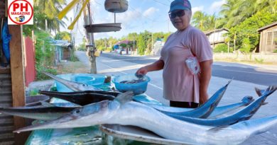 PHILIPPINEN MAGAZIN - FOTO DES TAGES - Frischer Fisch im Straßenverkauf