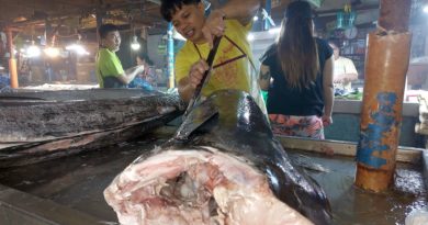 PHILIPPINEN MAGAZIN - FOTO DES TAGES - Blue Marlin auf dem Markt
