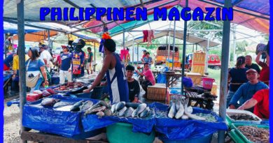 PHILIPPINEN MAGAZIN - FOTO DES TAGES - Auf dem Tabomarkt in Manolo Fortich