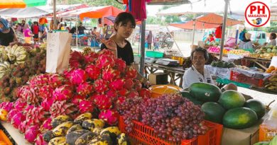 FOTO DES TAGES - exotische Früchte am Marktstand