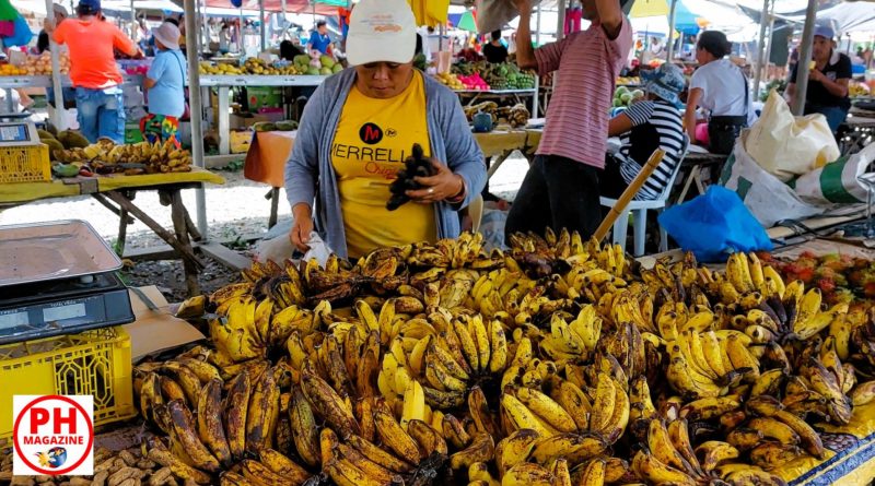 FOTO DES TAGES - Bananen ohne EU-Norm