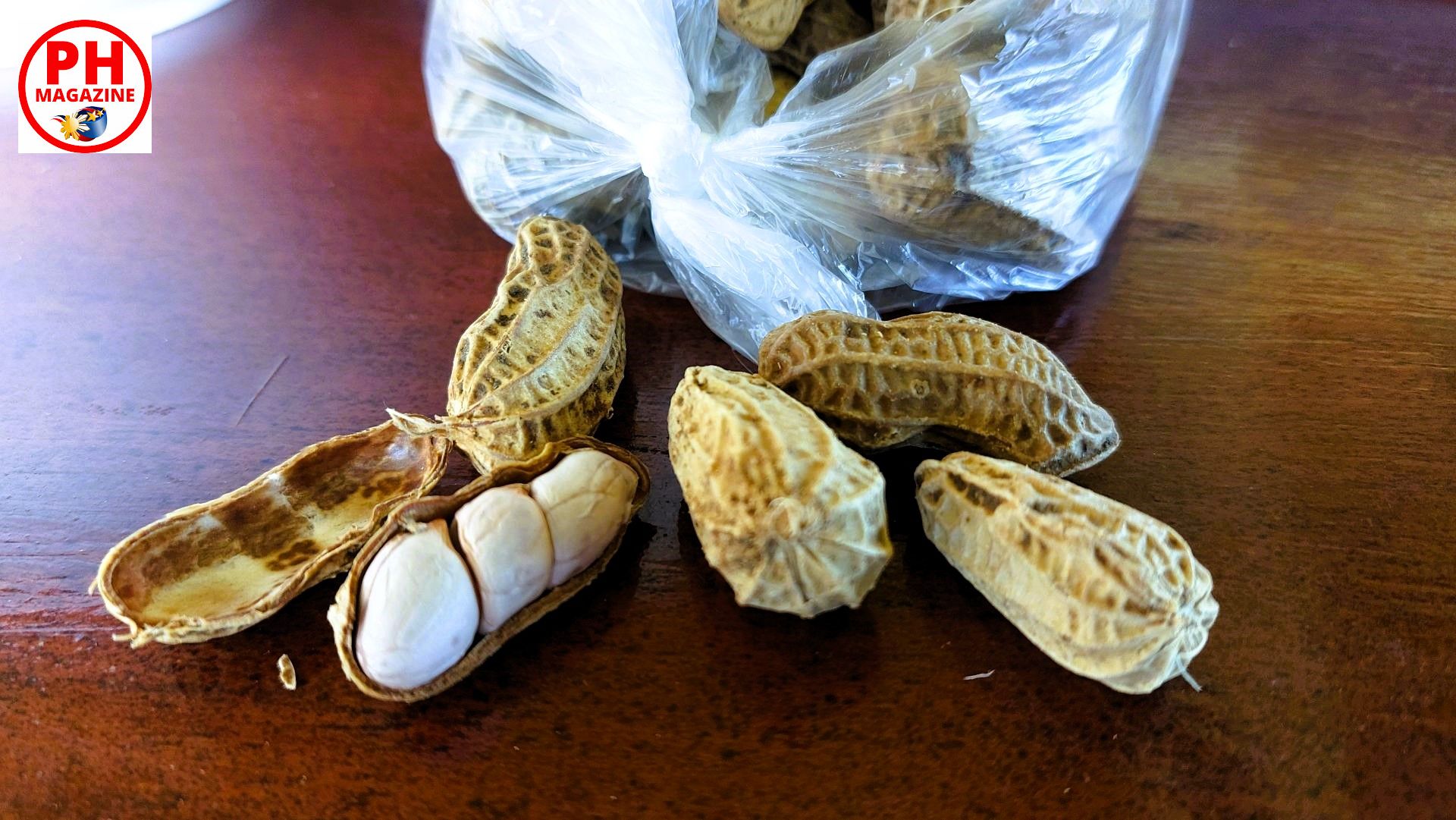 PHILIPPINEN MAGAZIN - FOTO DES TAGES - Gekochte Erdnüsse