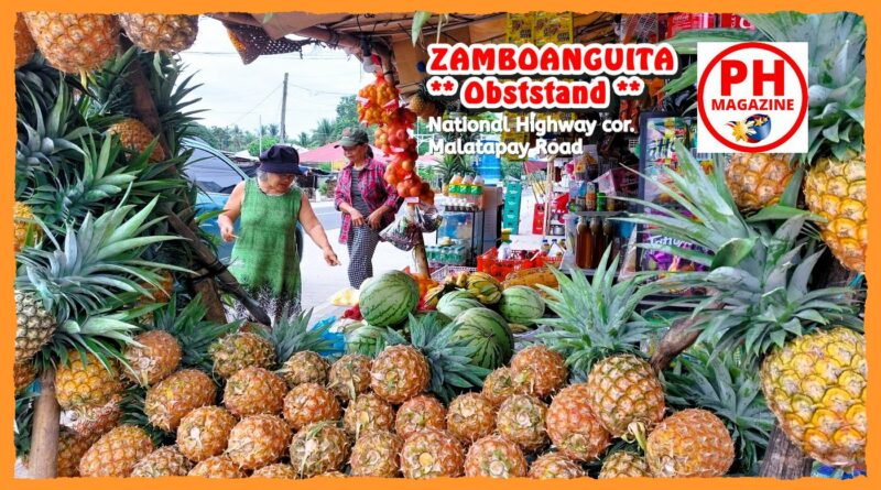 PHILIPPINEN MAGAZIN - FOTO DES TAGES - Obststand mit Ananas in Zamboanguita