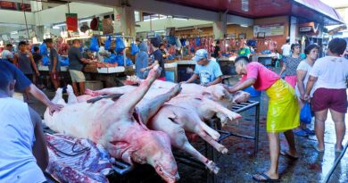BLOG - Fleischkauf frühmorgens auf dem Markt