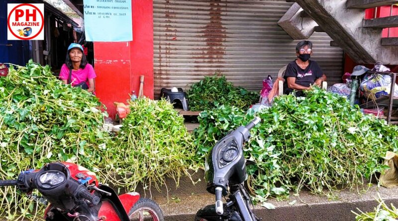 PHILIPPINEN MAGAZIN - FOTO DES TAGES - Marktfrauen mit Wasserspinat