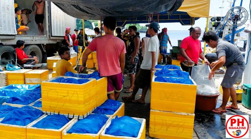 PHILIPPINEN MAGAZIN - BLOG - Fischanlandung in der Tambobobucht von Siaton