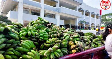 PHILIPPINEN MAGAZIN - BLOG - Direktverkauf von Bananen
