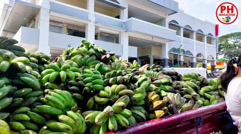 PHILIPPINEN MAGAZIN - BLOG - Direktverkauf von Bananen