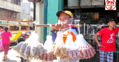 PHILIPPINEN MAGAZIN - FOTO DES TAGES - Fliegender Erdnussverkäufer