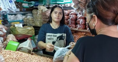 PHILIPPINEN MAGAZIN - BLOG - Von großen und kleinen Nüssen: Ein kulinarisches Abenteuer auf dem Markt von Dumaguete