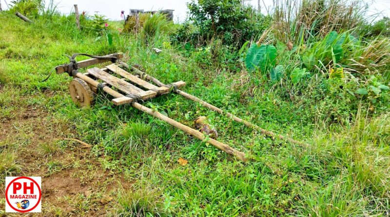 PHILIPPINEN MAGAZIN - FOTO - Nicht wegzudenken - Die Holzkarre in der Philippinischen Landwirtschaft
