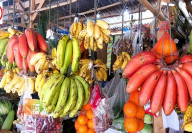 PHILIPPINEN MAGAZIN - FOTO DES TAGES - Leckere Bananensorten am Obststand